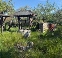 The garden by the cottage in Malacky with a stone well and wild grass.