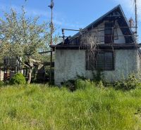 A cottage in Malacky with an overgrown garden, trees, and a neglected facade.