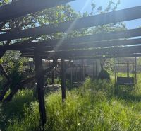 A garden by the cottage in Malacky with a gazebo and a swinging bench surrounded by tall grass.