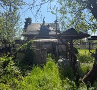 A garden with a cottage in Malacky surrounded by thick grass and an old tree.
