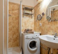 Bathroom with shower, washing machine, and sink in a 4-room apartment.