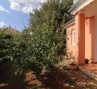 A family house in Vodice with an orange facade and a landscaped garden.