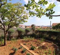 Garden at a family house in Vodice, with a view of the surrounding buildings and the sky.
