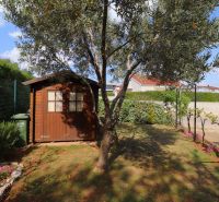 A family house in Vodice has a garden with a wooden house and an olive tree.