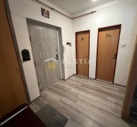 Entrance hall in a 3-room apartment with wood-patterned flooring and two doors.