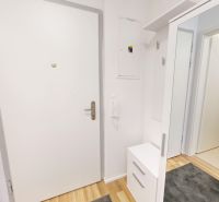 Entrance hallway with wood-patterned flooring in a 2-room apartment.