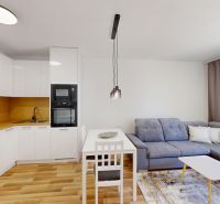 Living room with a kitchenette, wooden decor flooring, and a gray sofa in a two-room apartment.
