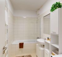 Bathroom with a bathtub, white cabinets, and a plant in a 2-room apartment.