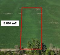 Recreational land in Trhovište, a green area with a size of 5,894 m² with a road.