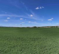 Vast green fields and a road with a view of recreational plots in Trhovištia.