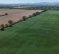 Aerial view of agricultural fields and trees between recreational properties in Trhovišťa.