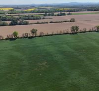 Vast fields surrounded by trees in Trhovište, recreational plots set in nature.