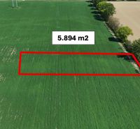 A plot of land with an area of 5,894 m² in Recreational Lands in Trhovište.