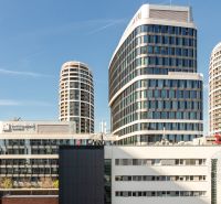 IMG_6441.jpg