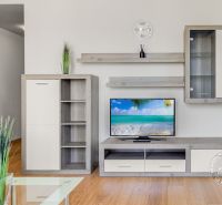 Living room in a two-room apartment with a wooden decor floor and furniture.