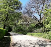 The path in the shade of trees leads through the gardens in Hubina, surrounded by lush vegetation.