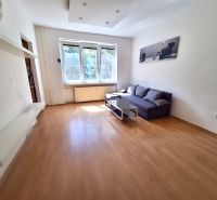 Living room in a studio apartment with wood-patterned flooring, a sofa, and a coffee table.