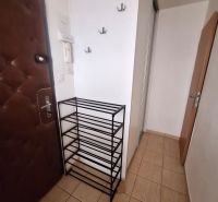 Entrance hallway in a one-room apartment with tiles and a shoe cabinet.