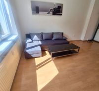 Living room in a one-bedroom apartment with a sofa and wood-patterned flooring.
