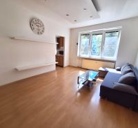 A bright living room with wood-patterned flooring and a sofa in a studio apartment.
