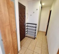 A hallway with lockers, coat racks, and a shoe cabinet in a studio apartment with tiled flooring.