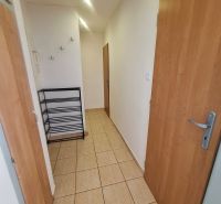 Hallway in a one-room apartment with doors and hooks on the wall.