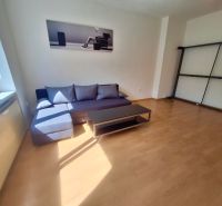 Living room in a studio apartment with a couch and wood-patterned flooring.