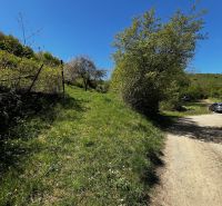 Spring gardens in Kendice with a blue sky and a country road.