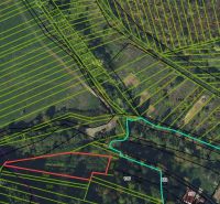 Aerial view of gardens in Kendice with marked parcels and vegetation.