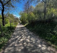 A natural path in the gardens of Kendice with a blue sky and tree shadows.