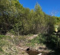 A forest nook in the Gardens of Kendice with a stream and pipes under the blue sky.
