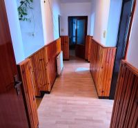 A hallway in a family house with wood-decor paneling and flooring.