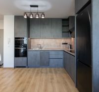 A kitchen in a 2-room apartment with dark furniture and a wooden decor floor.