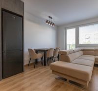 Living room with a leather sofa, dining table, and wooden decor flooring in a 2-room apartment.