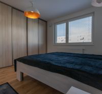 Bedroom in a 2-room apartment with a bed, built-in wardrobe, and wooden decor flooring.