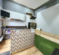 Interior of gastro spaces with wood-decor flooring and food preparation equipment.
