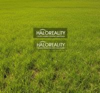 Extensive green plots with trees in Trenčianske Mitice for living.
