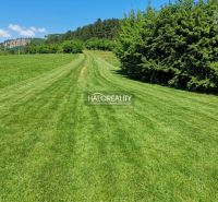 Green meadows and trees on recreational lands near Trenčianske Mitice.
