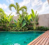 Villa in Bali with a pool surrounded by greenery and a shower on a wooden terrace.