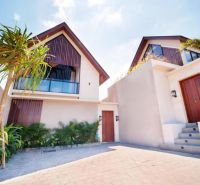Villa in Bali with a garden and palm trees, modern architecture, stone pathway.