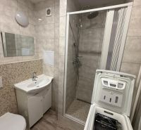 A bathroom in a studio apartment with a sink, shower, and washing machine.