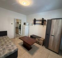 Studio apartment with furniture and wood-patterned flooring, light walls, and simple furnishings.