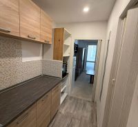 A narrow kitchen area with wooden decor in a studio apartment.