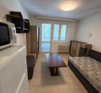 Studio apartment with wood-patterned flooring, sofa, table, furniture, and a window with a radiator.