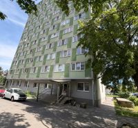 Greenery and a block of flats in Bratislava - Petržalka, suitable for living in a studio apartment.