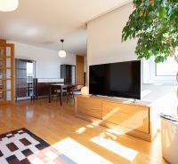 Living room in a 4-room apartment with a wooden decor floor and a houseplant.