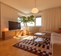 Living room in a 4-room apartment with a sofa, television, carpet, and wooden decor flooring.