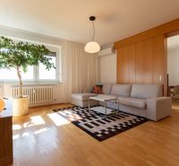 Living room in a 4-room apartment with a sofa, carpet, and wood-patterned flooring.