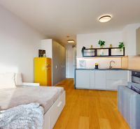 1-bedroom apartment with a kitchen unit, wooden decor flooring, and a yellow refrigerator.