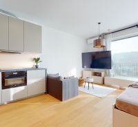 Living room in a one-bedroom apartment with a sofa, large TV, and wood-patterned flooring.